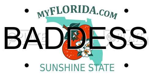 BADDESS Florida License Plate