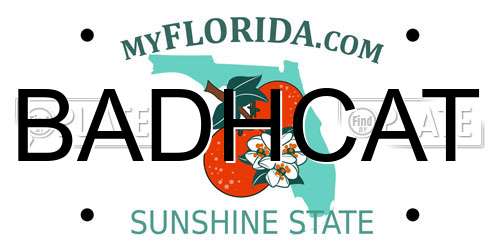 BADHCAT Florida License Plate