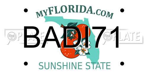 BADI71 Florida License Plate