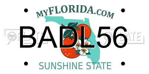 BADL56 Florida License Plate