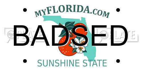 BADSED Florida License Plate