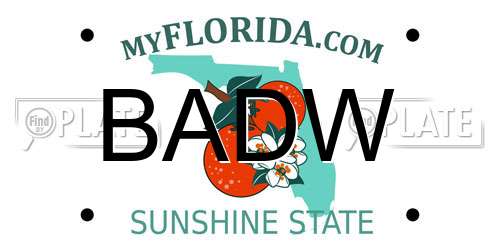 BADW Florida License Plate