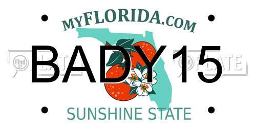 BADY15 Florida License Plate
