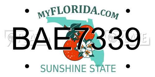 BAE7339 Florida License Plate