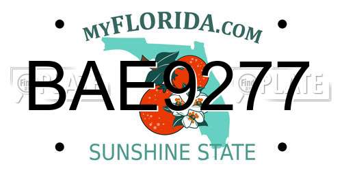 BAE9277 Florida License Plate