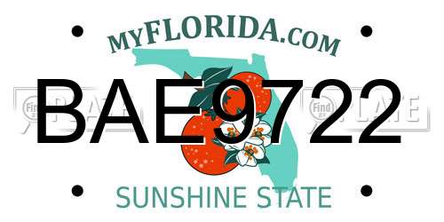 BAE9722 Florida License Plate