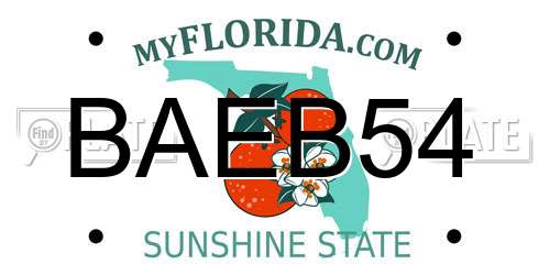 BAEB54 Florida License Plate