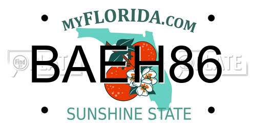 BAEH86 Florida License Plate