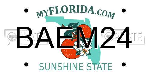 BAEM24 Florida License Plate