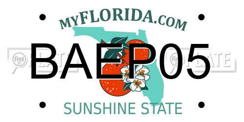 BAEP05 Florida License Plate