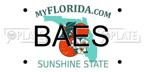 BAES Florida License Plate