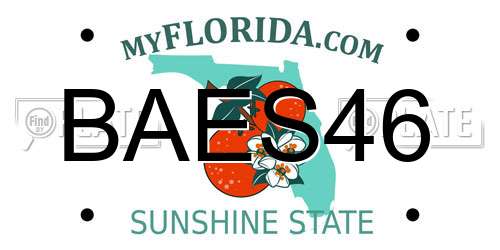 BAES46 Florida License Plate