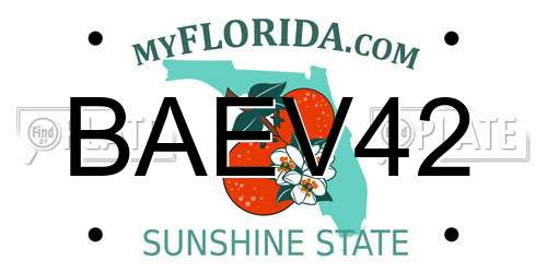 BAEV42 Florida License Plate