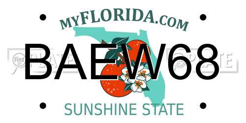 BAEW68 Florida License Plate