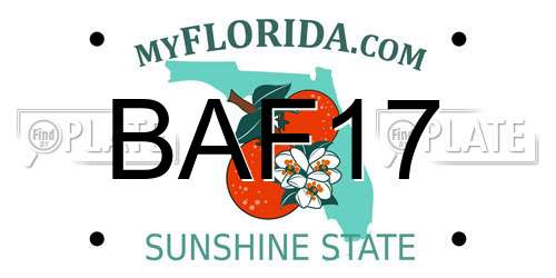 BAF17 Florida License Plate
