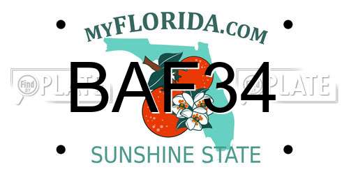 BAF34 Florida License Plate