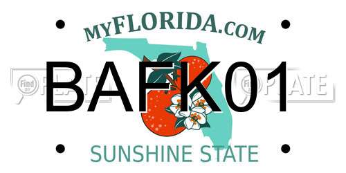 BAFK01 Florida License Plate