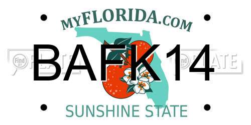 BAFK14 Florida License Plate