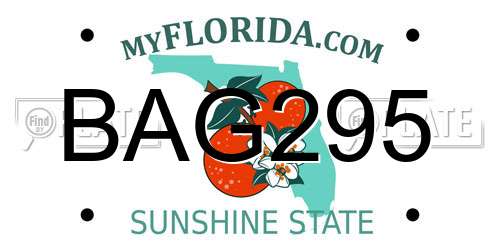 BAG295 Florida License Plate