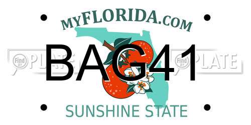 BAG41 Florida License Plate