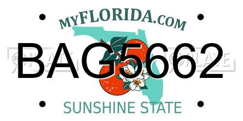 BAG5662 Florida License Plate