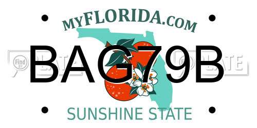 BAG79B Florida License Plate