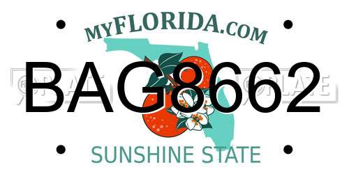 BAG8662 Florida License Plate