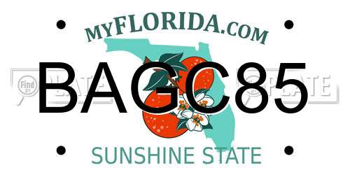 BAGC85 Florida License Plate