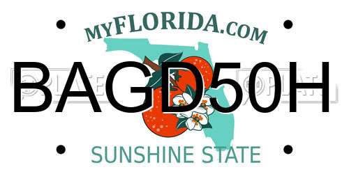 BAGD50H Florida License Plate