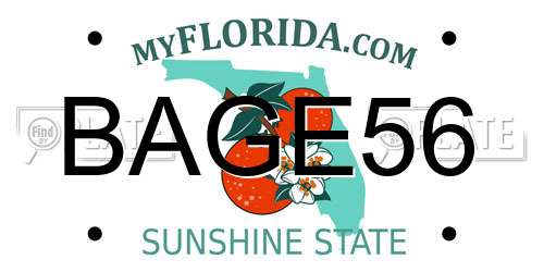 BAGE56 Florida License Plate
