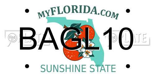 BAGL10 Florida License Plate