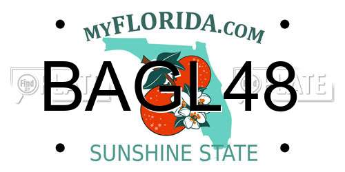 BAGL48 Florida License Plate
