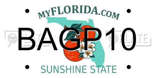 BAGP10 Florida License Plate