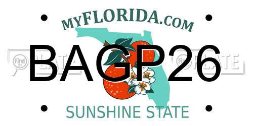 BAGP26 Florida License Plate