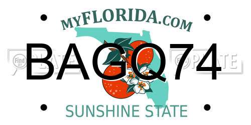 BAGQ74 Florida License Plate