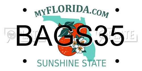 BAGS35 Florida License Plate