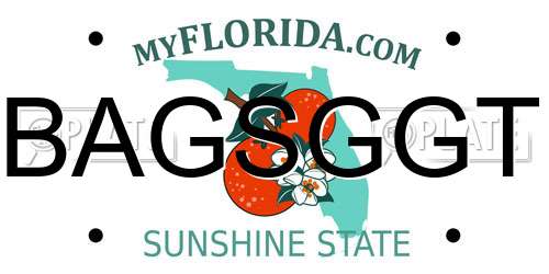 BAGSGGT Florida License Plate