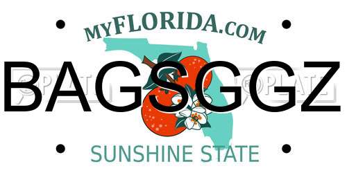 BAGSGGZ Florida License Plate