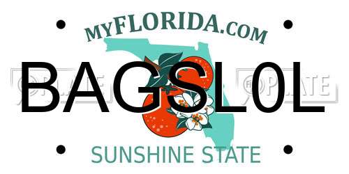 BAGSL0L Florida License Plate