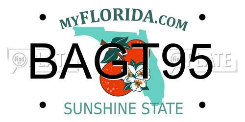 BAGT95 Florida License Plate