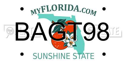 BAGT98 Florida License Plate