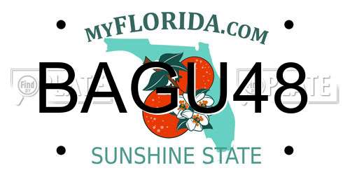 BAGU48 Florida License Plate