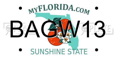 BAGW13 Florida License Plate