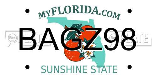 BAGZ98 Florida License Plate