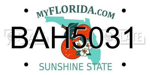 BAH5031 Florida License Plate