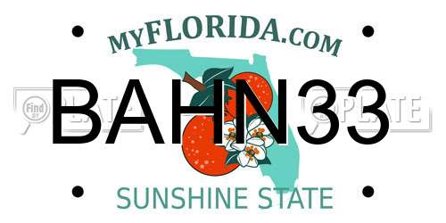 BAHN33 Florida License Plate