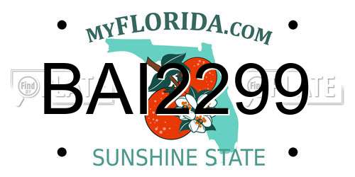 BAI2299 Florida License Plate