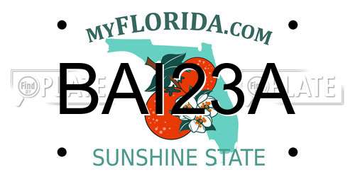 BAI23A Florida License Plate
