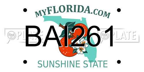 BAI261 Florida License Plate