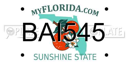 BAI545 Florida License Plate